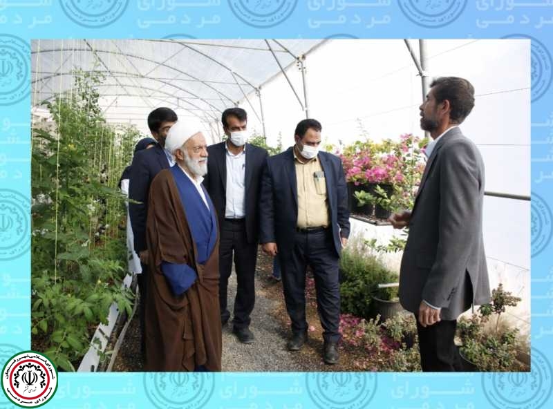 بازدید نمایندگان مردم در شورای شهر از گلخانه هیدروپونیک تولید صیفی جات و سبزیجات اقای کفایی