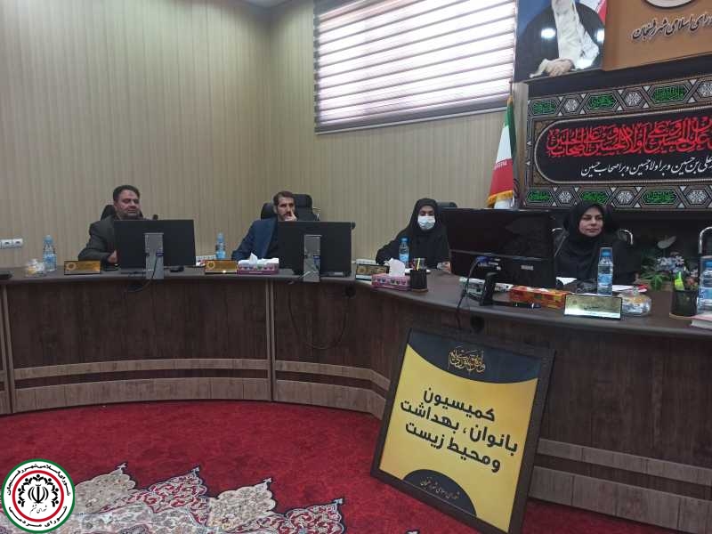 حل مسائل محیط زیست شهر رفسنجان در دستور کار کمیسیون محیط زیست شورای شهر