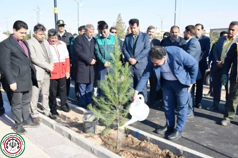 کاشت نهال توسط رئیس و اعضای شورای شهر رفسنجان در روز درختکاری